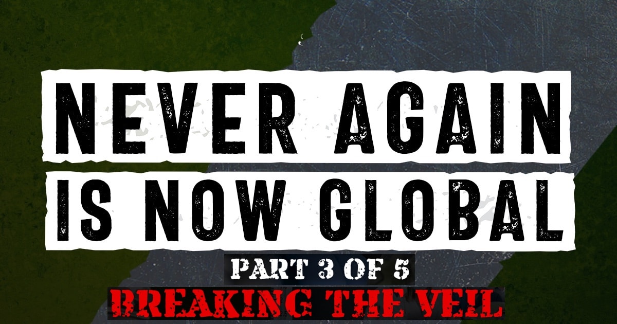 Den Schleier lüften – Never Again Is Now Global 3
